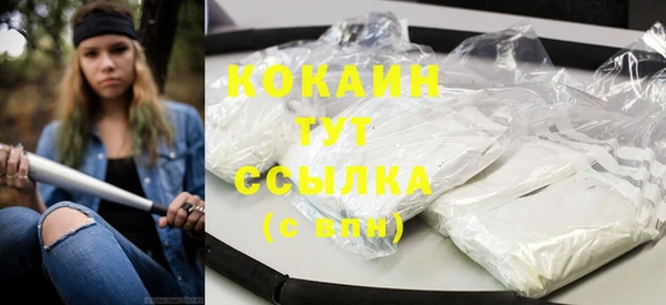 прущие грибы Новый Уренгой