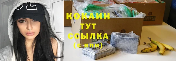ГАЛЛЮЦИНОГЕННЫЕ ГРИБЫ Лихославль