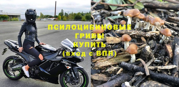 гидра Лиски