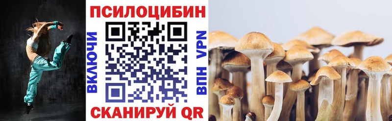 Псилоцибиновые грибы Psilocybe  Таштагол 